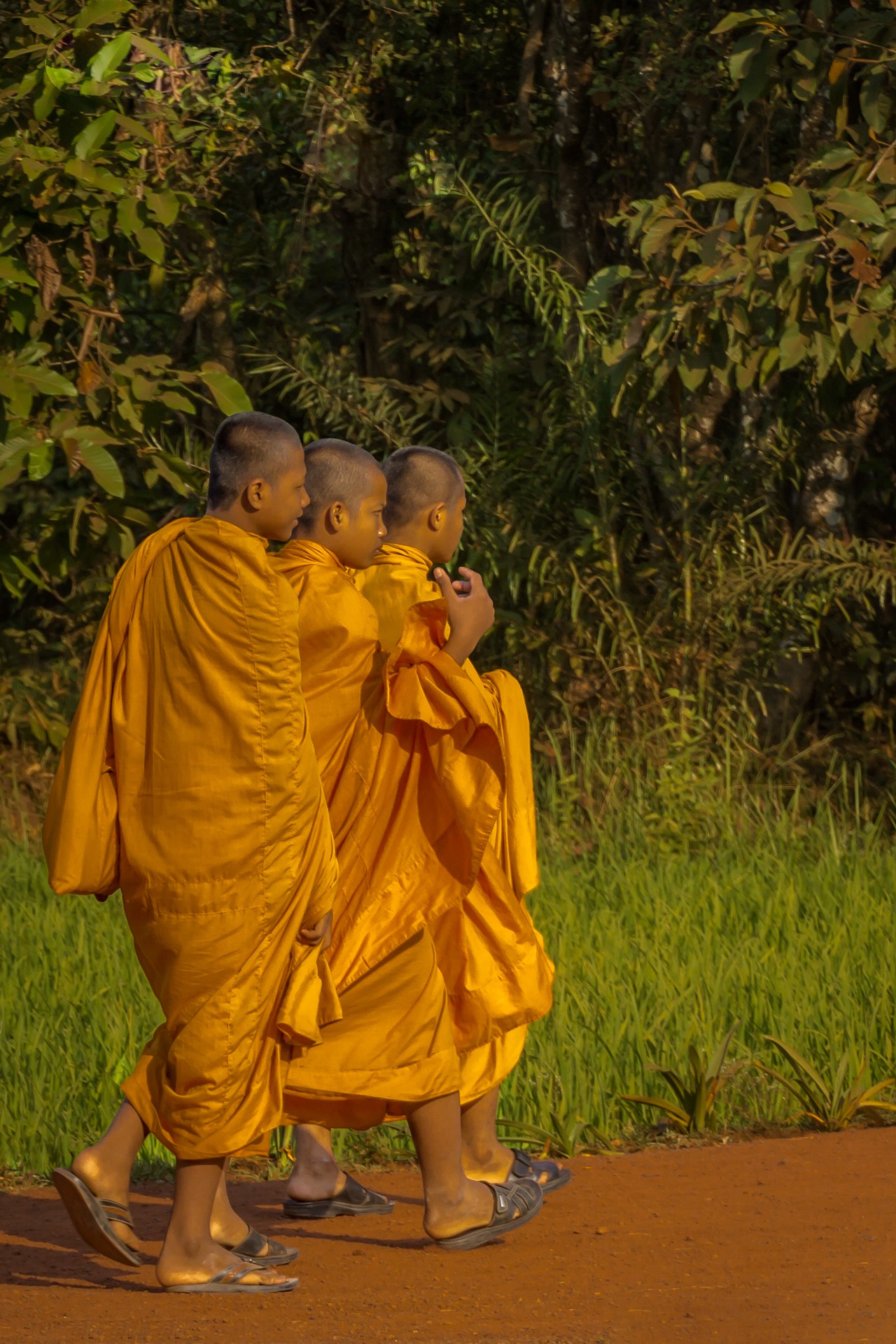 monks-walking